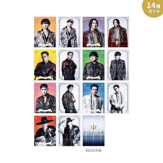 LIVE TOUR 2025 KINGDOM Photo CardⅡ/14-item set | EXILE