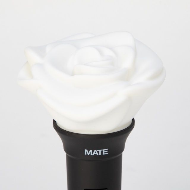 【即購入優先】JSB3 Official MATE Light Stick JSB3 Official “MATE” Light Stick | EXILE TRIBE STATION