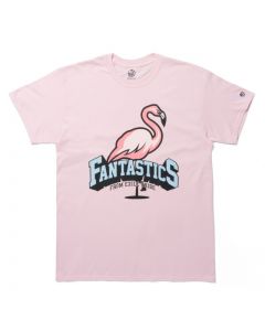 DODGEBALL KINGDOM FNT Tee SS