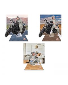 FULL THROTTLE Acrylic stand/all 3 types