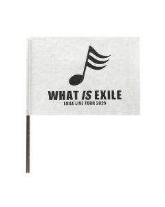 WHAT IS EXILE Flag