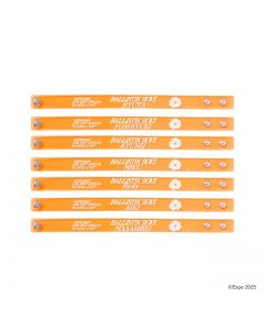 Jr.EXILE LIVE Clear bracelet/BALLISTIK BOYZ/All 7 types