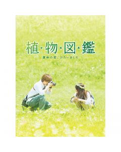 Plant picture book Fate of love, picked up  luxury Blu-ray / First edition limited production