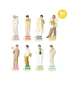 SUNFLOWER Acrylic Stand set of 8