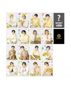 SUNFLOWER Photocard/16 types in total + 8 secret types