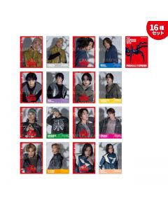 PRIMAL SPIDER Photo Cards A/Set of 16 types