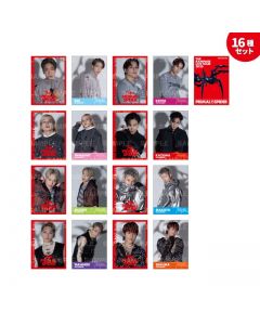 PRIMAL SPIDER Photo Cards B/Set of 16 types