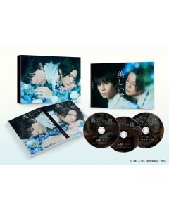 Beautiful man DVD-BOX