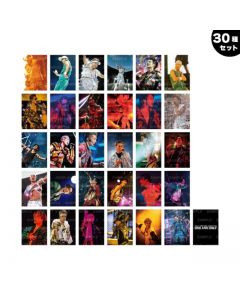 EXILE COSTUME EXHIBITION 2025 Photo Card/30-piece set