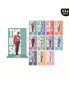 THE REASON ~PERFECT YEAR Special~ Acrylic Stand/EXILE/Set of 11