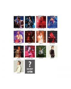JUBILEE Photo Card/13 types in total + 4 secret types