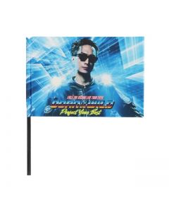 PERFECT YEAR BEST ~Born To Be Wild~ Visual Flag/KENCHI TACHIBANA