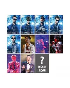PERFECT YEAR BEST ~Born To Be Wild~ Photocard/10 types + 5 secret types