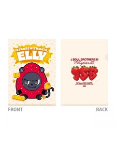 Chapter15 Character Clear File/ELLY