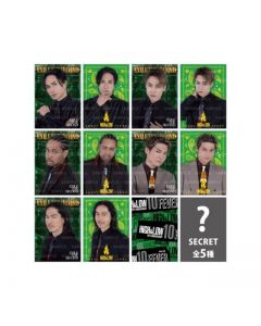 FEVER Photo Card/EXILE THE SECOND/10 types in total + 5 secret types