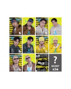 FEVER Photo Card/DOBERMAN INFINITY/10 types in total + 5 secret types