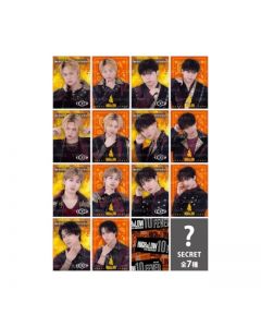 FEVER Photo Card/BALLISTIK BOYZ/14 types in total + 7 secret types
