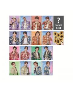 SUNFLOWER Photo Card Ⅱ/16 types + 8 secret types