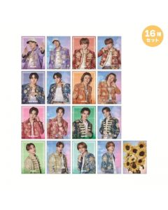 SUNFLOWER Photo Card Ⅱ/set of 16