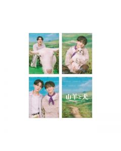 Yagi to Inu Photo Card/set of 3/B