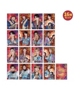BACK TO THE MEMORIES Matsuri Photo Card/set of 16