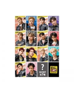 BEAT BLAST Z Photo Card/14 types in total + 7 secret types