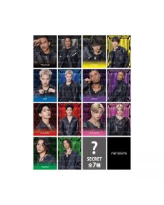 THE ROOTS Photocard/14 types + 7 secret types