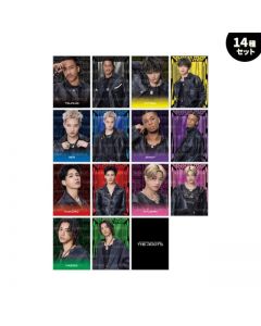 THE ROOTS Photocard set of 14