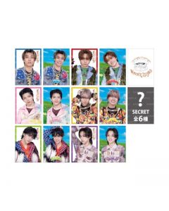 Wonder Island Photo Card/12 types in total + 6 secret types
