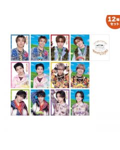 Wonder Island Photo Card 12-piece set