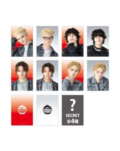 tera trip Photo Card/8 types + 4 secret types