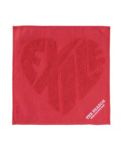 THE REASON Logo Hand Towel