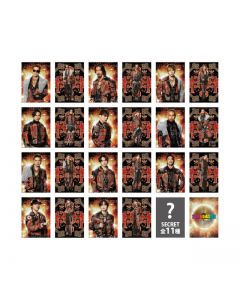 THE REASON Photocard/EXILE/22 types in total + 11 secret types