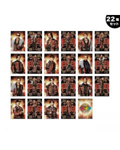 THE REASON Photocard/EXILE/22-piece set