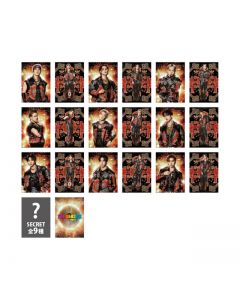 THE REASON Photocard/STARTING MEMBER/18 types in total + 9 secret types