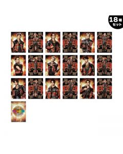 THE REASON Photocard/STARTING MEMBER/18-piece set