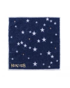 BUDOKAN LIVE 2025 HERCULES Hand Towel