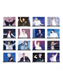 LDH LIVE-EXPO 2024 Acrylic Panel/THE RAMPAGE