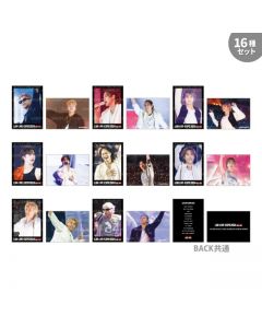 LDH LIVE-EXPO 2024 Photo Card/THE RAMPAGE/A/16-piece set