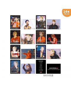 LDH LIVE-EXPO 2024 Photo Card/BALLISTIK BOYZ/14-piece set