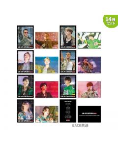 LDH LIVE-EXPO 2024 Photo Card/PSYCHIC FEVER/14-piece set