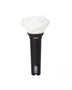 JSB3 Official “MATE” Light Stick