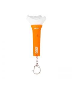 JSB3 Official “MATE” Light Stick Keyring/NAOTO