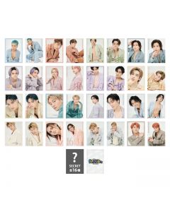 16 photo cards / 48 types in total