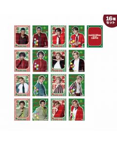 PRIMAL SPIDER THE FINAL ～Daibounenkai～ Photocard A/16-piece set