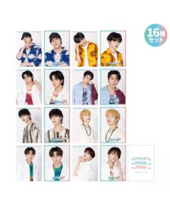 BUTTERFLY Photo Card set of 16
