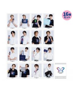 BUTTERFLY EFFECT -FLY WITH YOU- Photo CardⅡ16-piece set