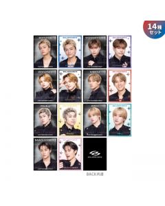IMPACT Photo Card/14-item set