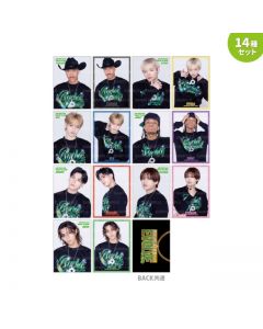 EVOLVE Photo card/14-piece set