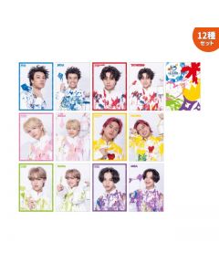 LIL (W)INK Photo Card set of 12